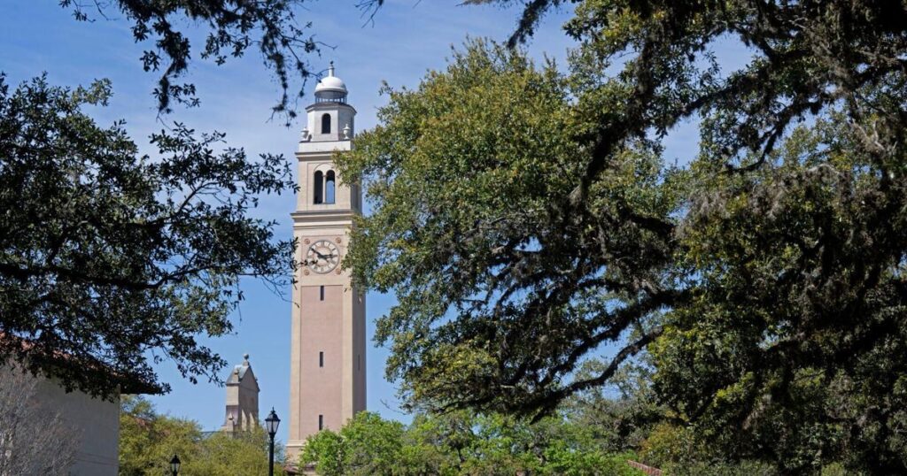 See a list of the fastest-growing, highest-grossing businesses led or owned by LSU grads